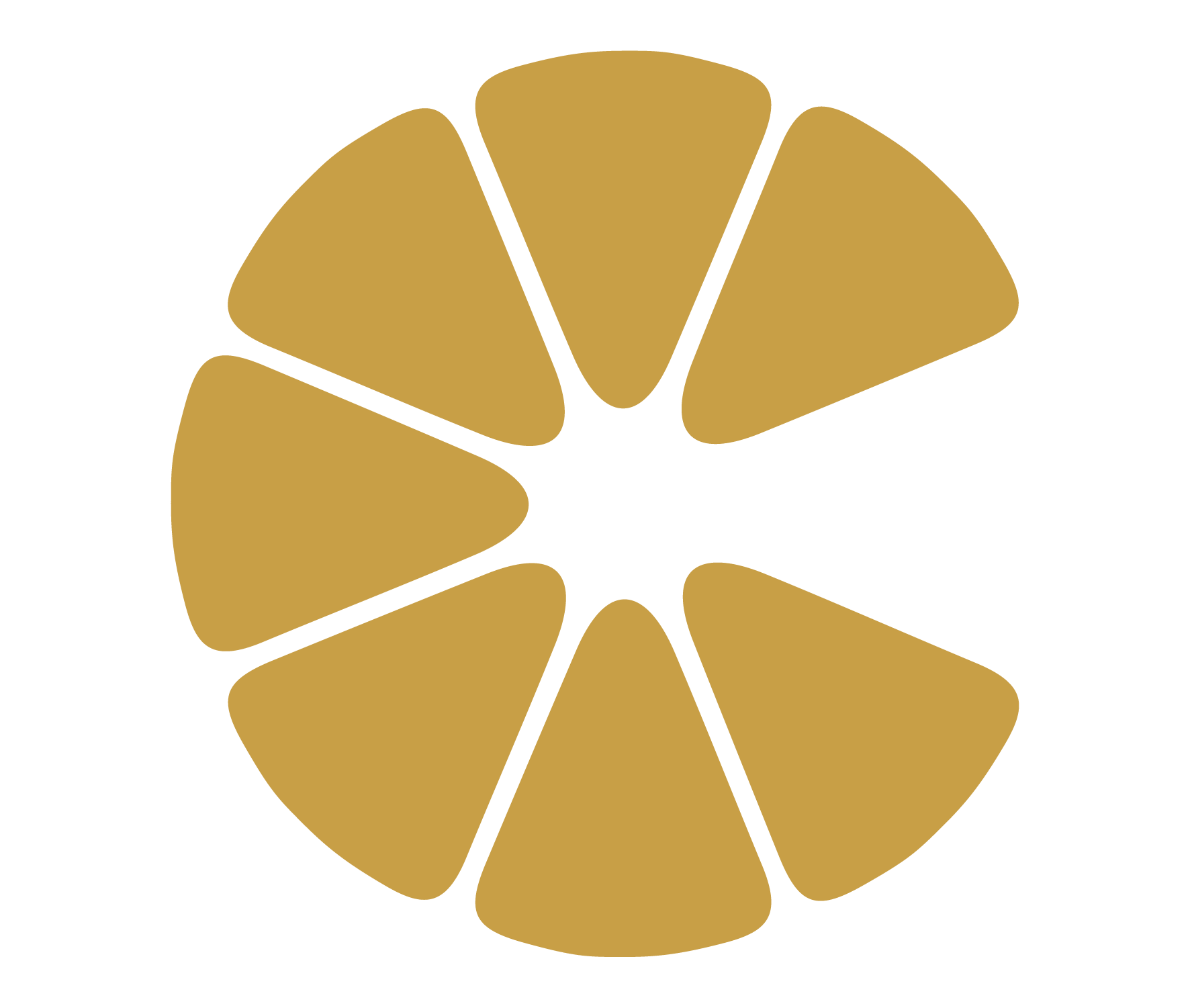 Logo Compañia de Pizzas